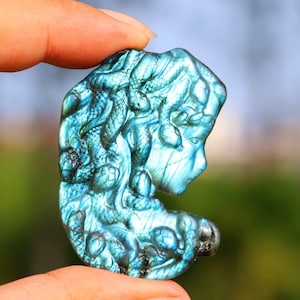 2&#39;&#39; Natural Labradorite Medusa，Crystal Medusa carving，Medusa figurine，Crystal pendant，Home decor，Crystal gift