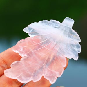 Puede incluir: Una talla de cristal en forma de hoja, translúcida y de color rosa pálido, con delicadas vetas. El cristal se muestra sobre un fondo borroso verde y azul. La talla es detallada y parece ser de cuarzo.