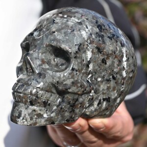 May include: A black and white speckled skull sculpture carved from stone. The skull is detailed with a defined jawline and eye sockets.