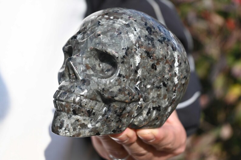 May include: A black and white speckled skull sculpture carved from stone. The skull is detailed with a defined jawline and eye sockets.