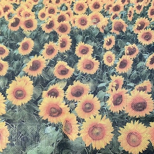 Sunflowers paper napkin for decoupage or craft supplies and scrapbooking