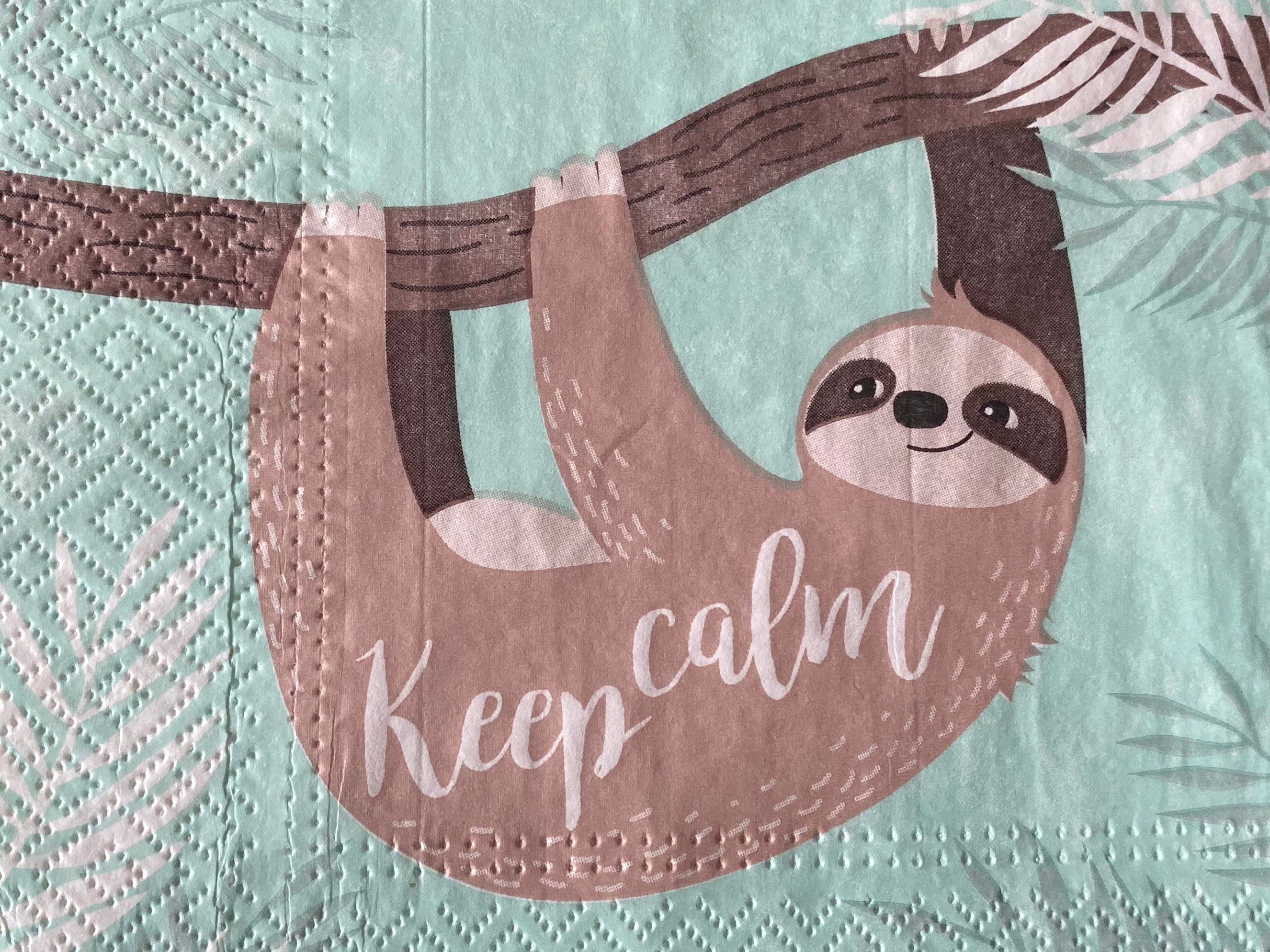 1 x Sloth Slow Down Party Paper Lunch Napkin Decoupage Scrapbooking Card Craft