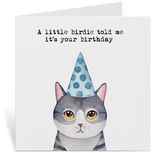 Carte d'anniversaire drôle de chat - Joyeux anniversaire pour les amis, les soeurs, les frères, les mères et tous - Conception amusante - Carte d'anniversaire de chat