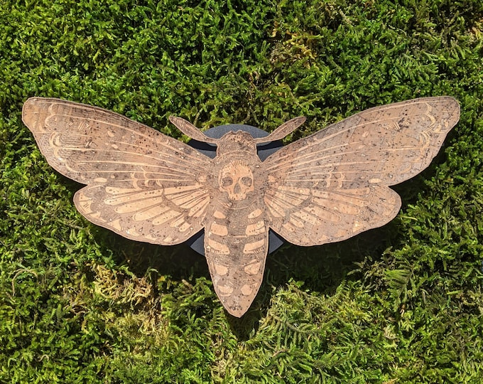 Deaths Head Moth Gothic Entomology • Gothic Insect Art • Dark Cottagecore Skull Moth • Silence Of The Lambs Deaths Head Hawkmoth