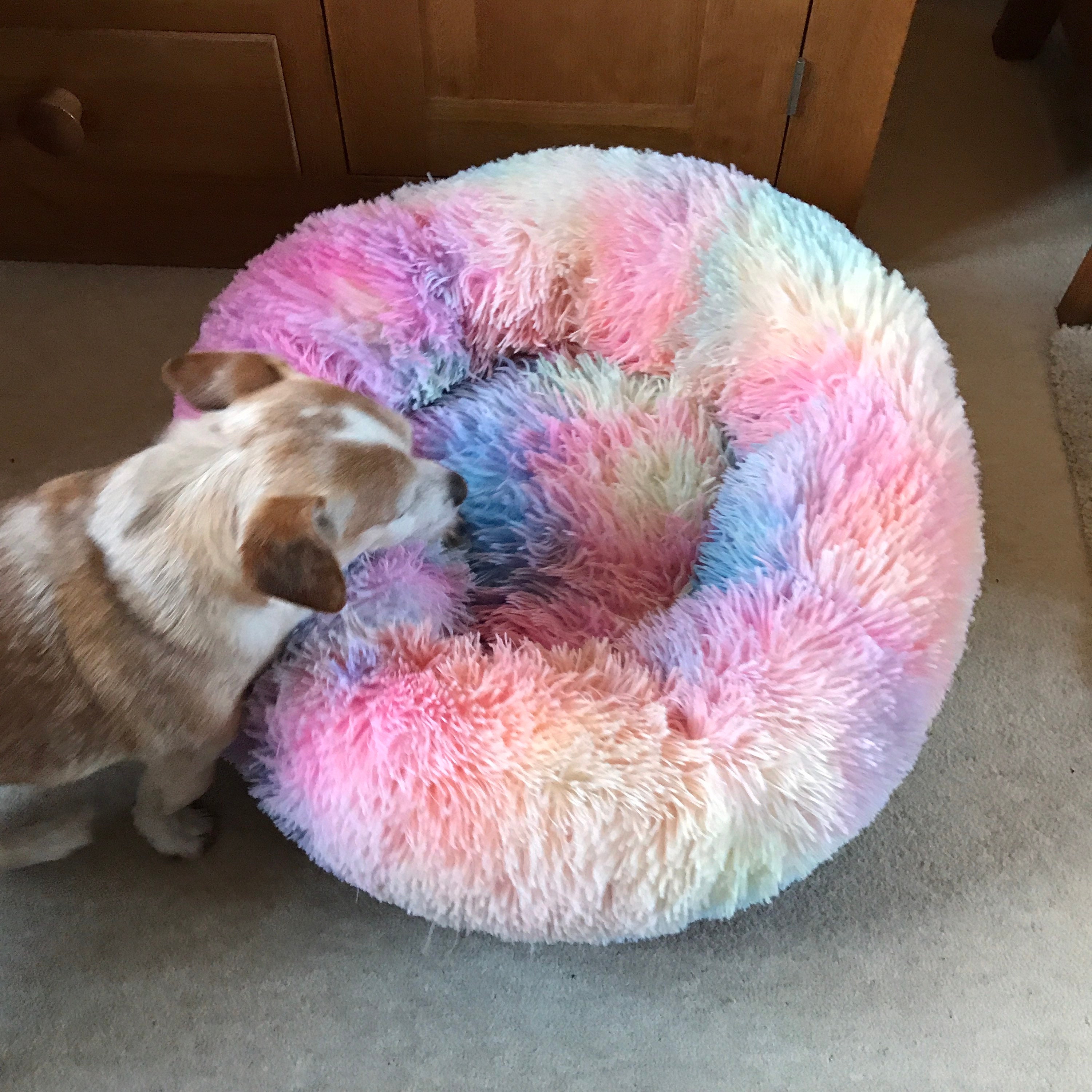 60 cm FLUFFYFLUFFY Rainbow Cloud Bed For pets up to 25lbs Ltd Etsy