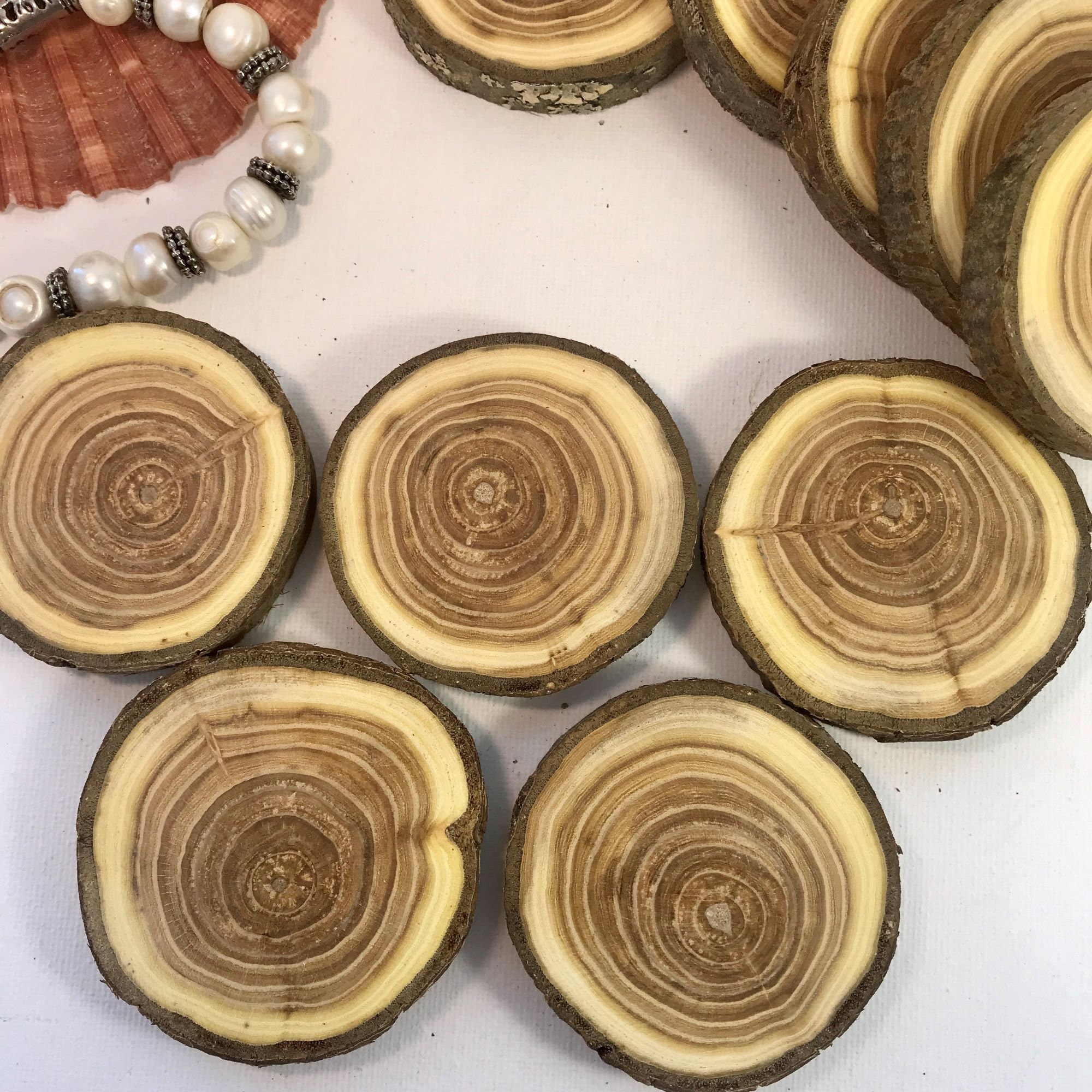 Set 5 Wood Slice Buckthorn Wood Slices Art DIY Weddings Etsy