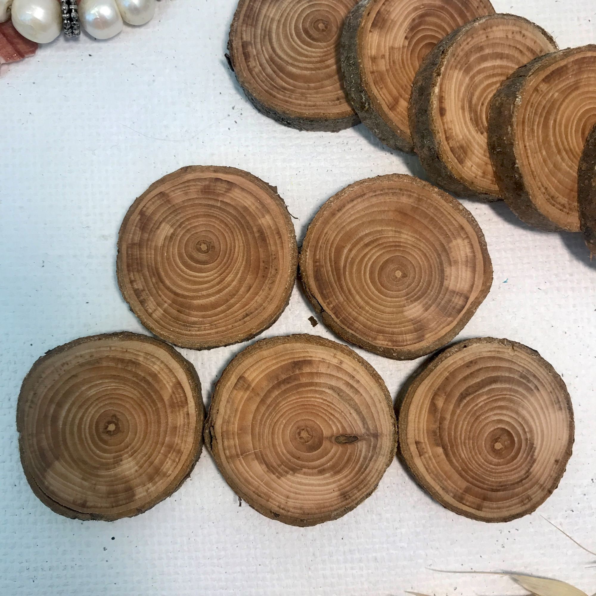 Set 5 Apple tree wood slices art wooden slices for DIY Etsy