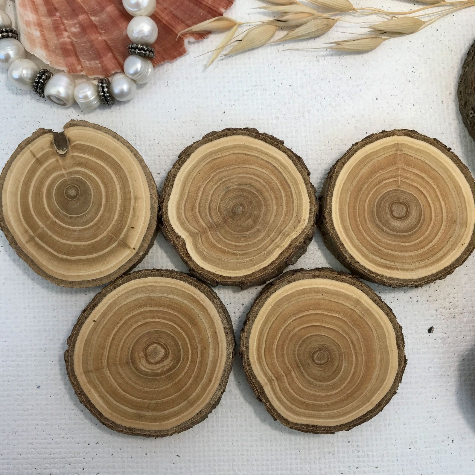 Set 5 wood slice Buckthorn wood slices art DIY weddings Etsy