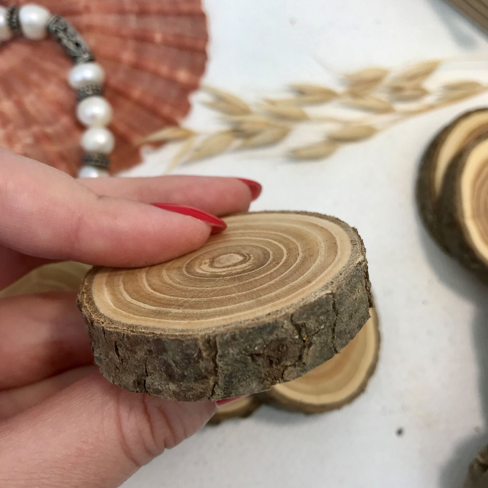 Set 5 wood slice Buckthorn wood slices art DIY weddings Etsy