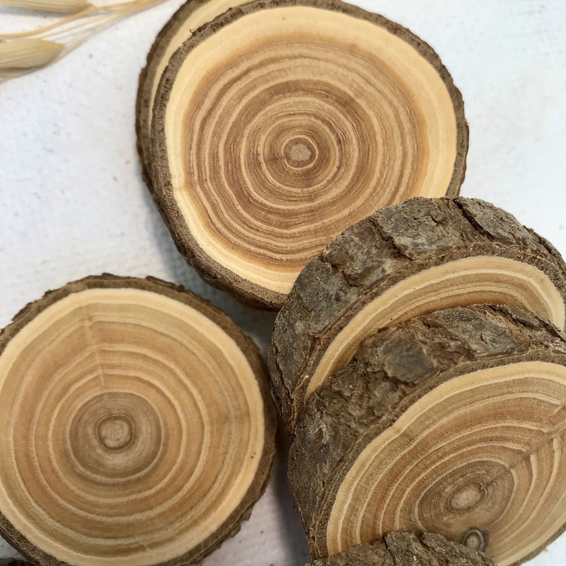 Set 5 wood slice Buckthorn wood slices art DIY weddings Etsy