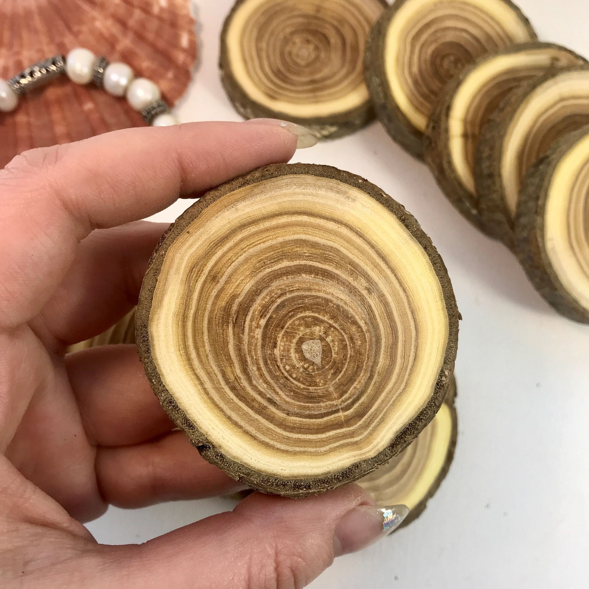 Set 5 Wood Slice Buckthorn Wood Slices Art DIY Weddings Etsy