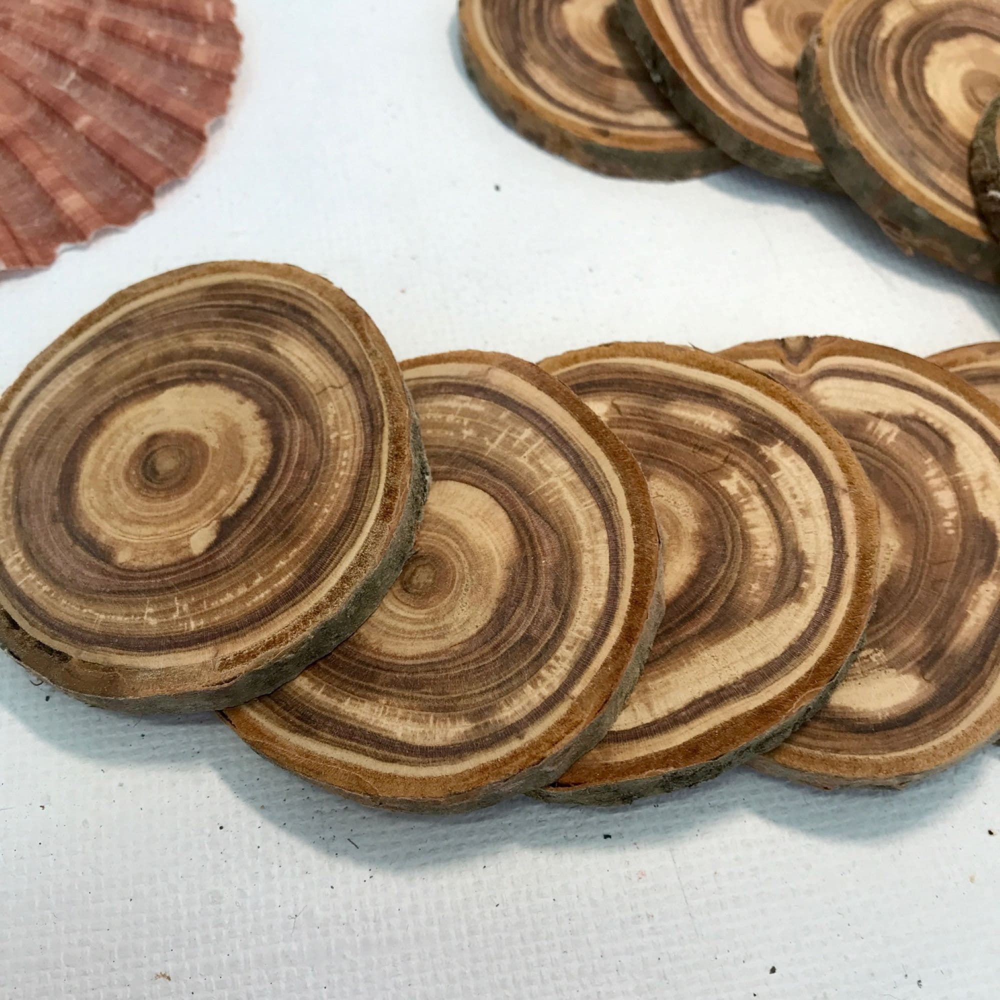 Set 5 wood slices Plum tree wooden washers wooden discs Etsy