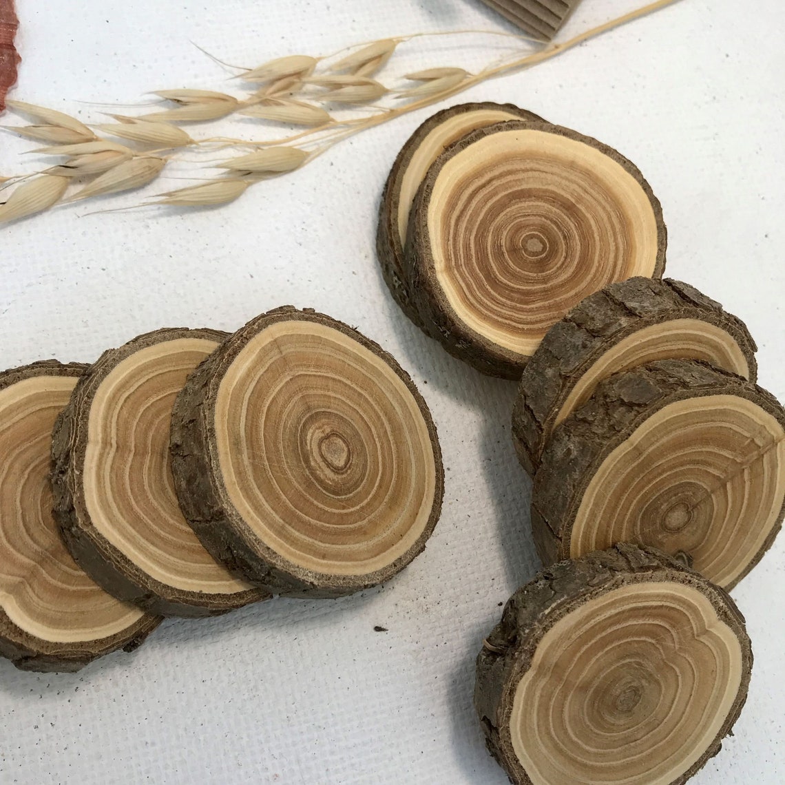 Set 5 wood slice Buckthorn wood slices art DIY weddings Etsy