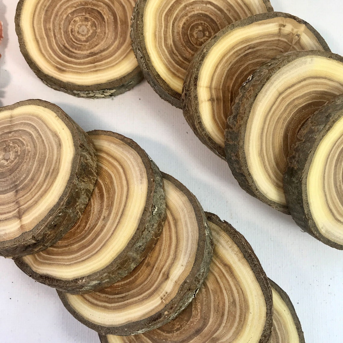 Set 5 Wood Slice Buckthorn Wood Slices Art DIY Weddings Etsy