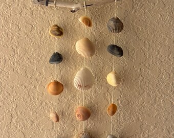 Shell Wall Decor