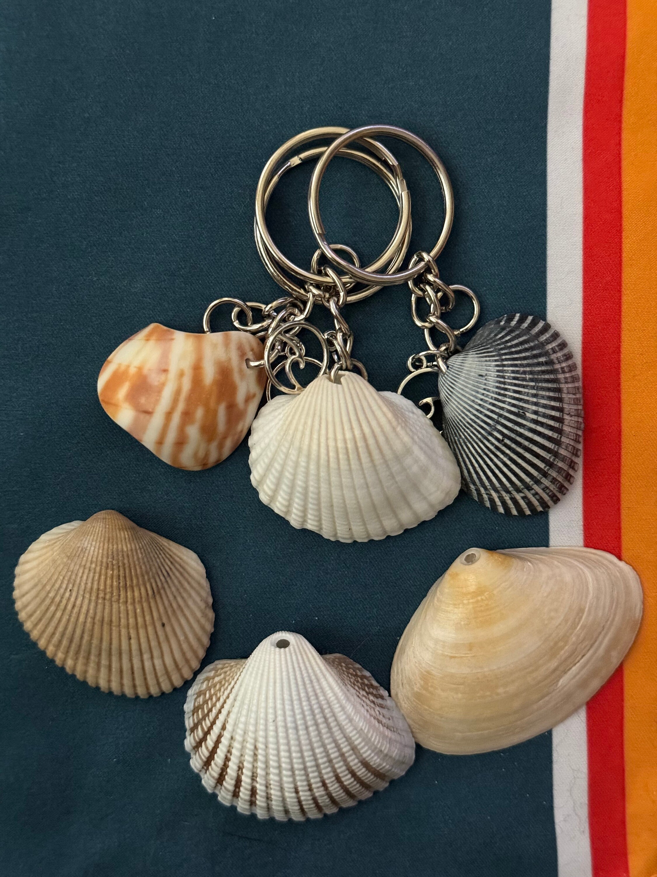 Shell Keychain - Etsy