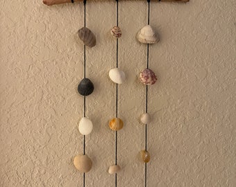 Shell Wall Decor