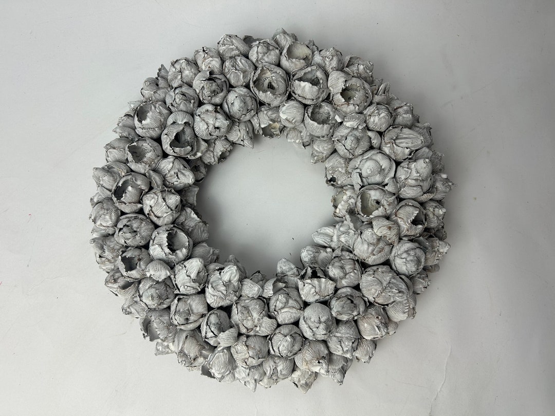 Bleached White Wreath Made of Coconut Fruits - Etsy