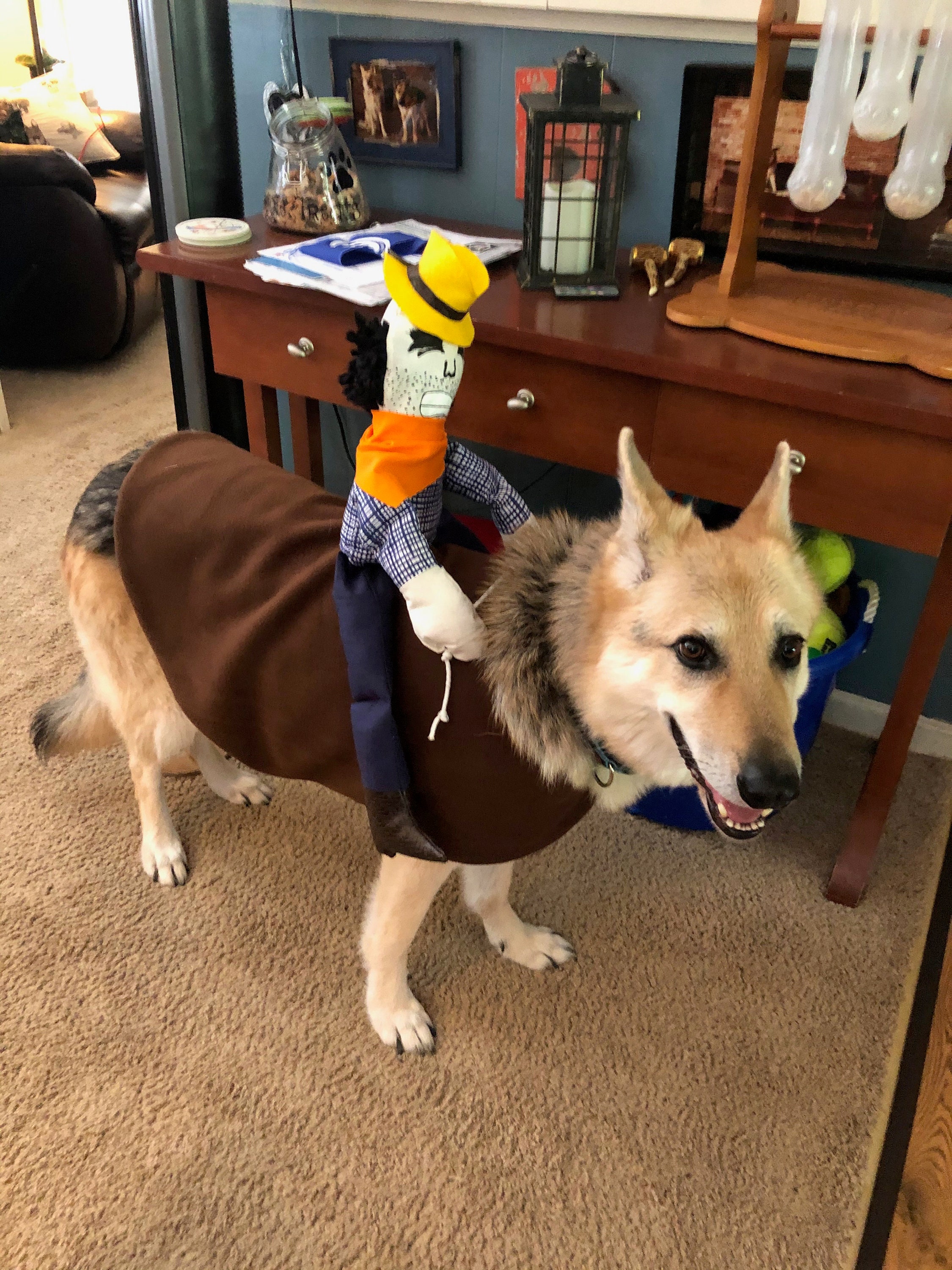 Dog Saddle Costume 