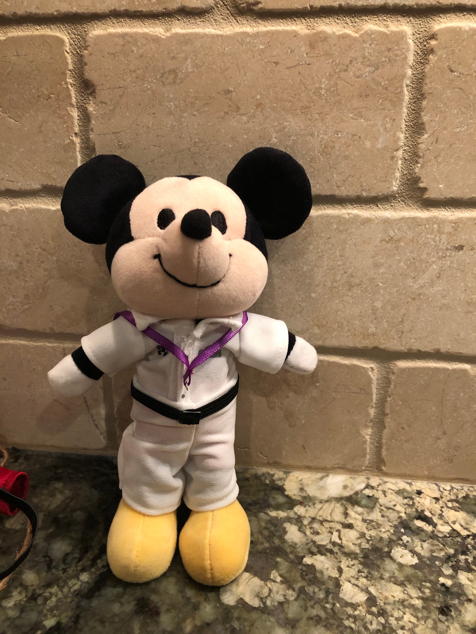 Disney Nuimo Custodial Costume Etsy