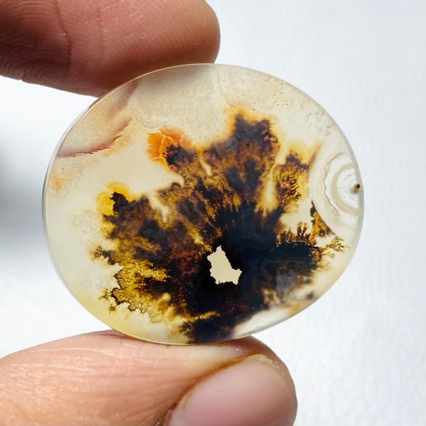 Agate dendritique de qualité musée (Shajar) d'une collection privée Cabochon rond de 26 ct 30x25x4 mm # MU-3053 Pierre précieuse de la cabine Pierre précieuse en vrac