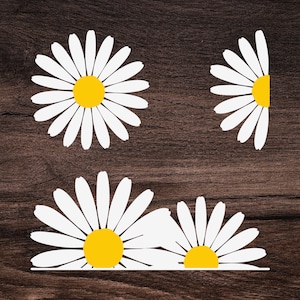 Daisy SVG PNG Bundle: Floral Clipart, Cut Files (Digital Download)