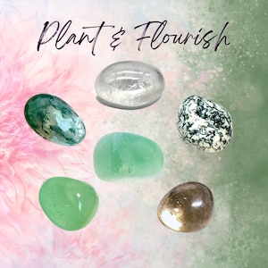 Conjunto de Cristais Manifest PLANT HEALTH Intention - 2 tamanhos - com cartão de informações e mantras, moldura de exposição e bolsa de armazenamento - Reiki aprimorado