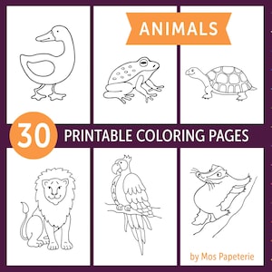 Könnte beinhalten: 30 ausdruckbare Malvorlagen mit Umrisszeichnungen verschiedener Tiere, darunter eine Ente, ein Frosch, eine Schildkröte, ein Löwe, ein Papagei und ein Waschbär. Das Wort "TIERE" wird über den Tierillustrationen angezeigt.