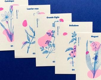 Lot de 5 cartes avec illustrations de plantes appartenant à la Famille des « Mortelles » | Cartes A6 imprimées en risographie