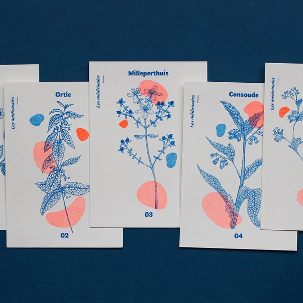 Lot de 5 cartes avec illustrations de plantes appartenant à la Famille des « Médicinales » | Cartes A6 imprimées en risographie