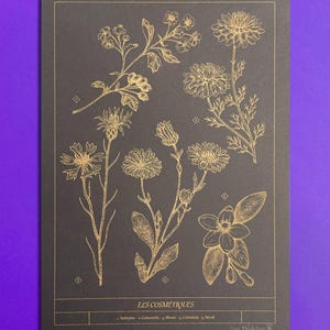 Tavola botanica A4 stampata in risography