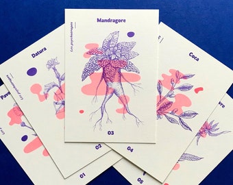 Lot de 5 cartes avec illustrations de plantes appartenant à la Famille des « Psychotropes » | Cartes A6 imprimées en risographie