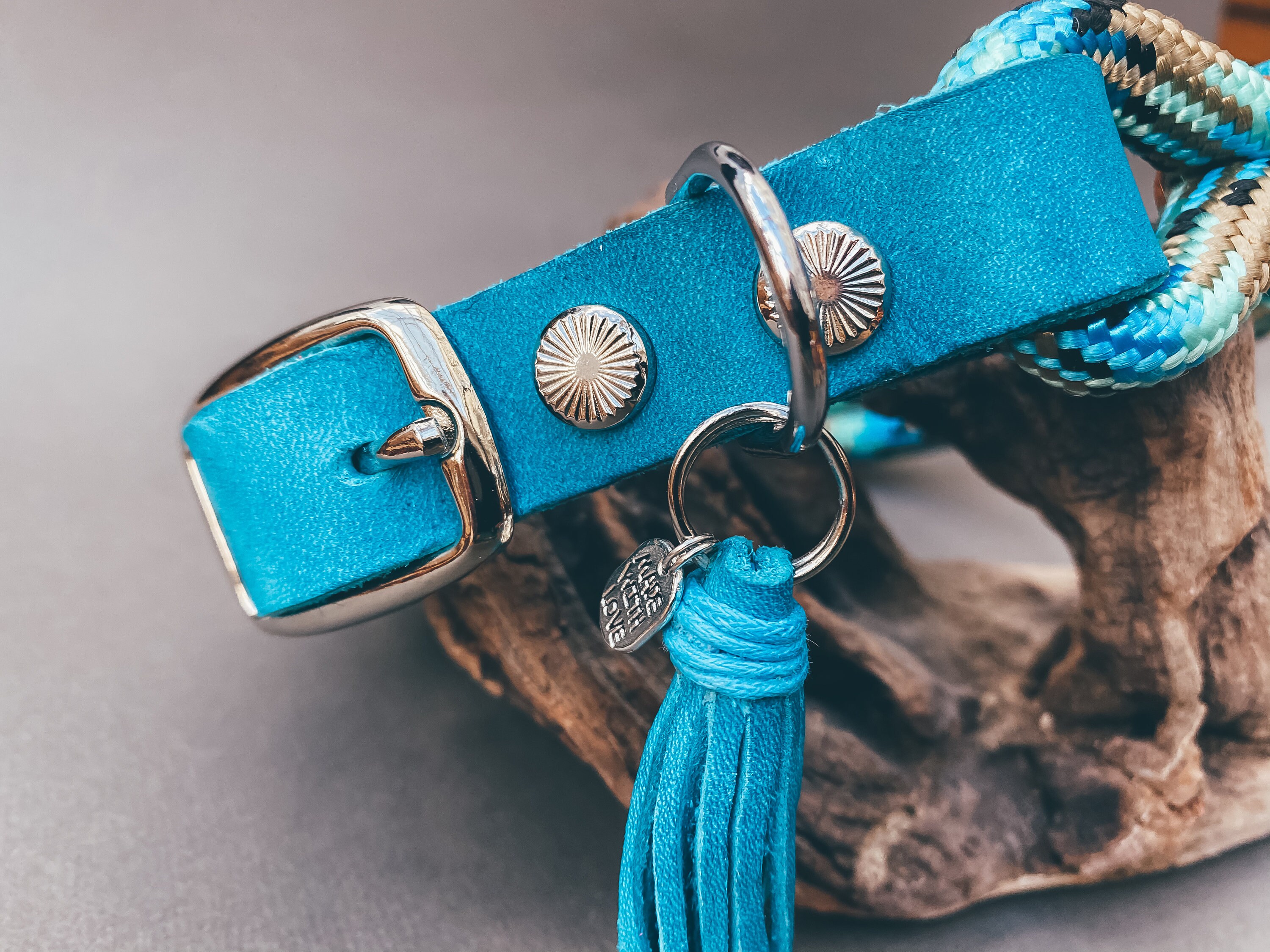 Hund Seil Kragen �UNDERSEA� verstellbar Etsy