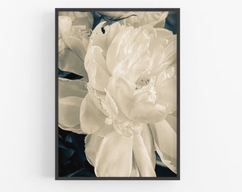 Flower Photo:Opening flower- Photograph- Wall art, Home Decor