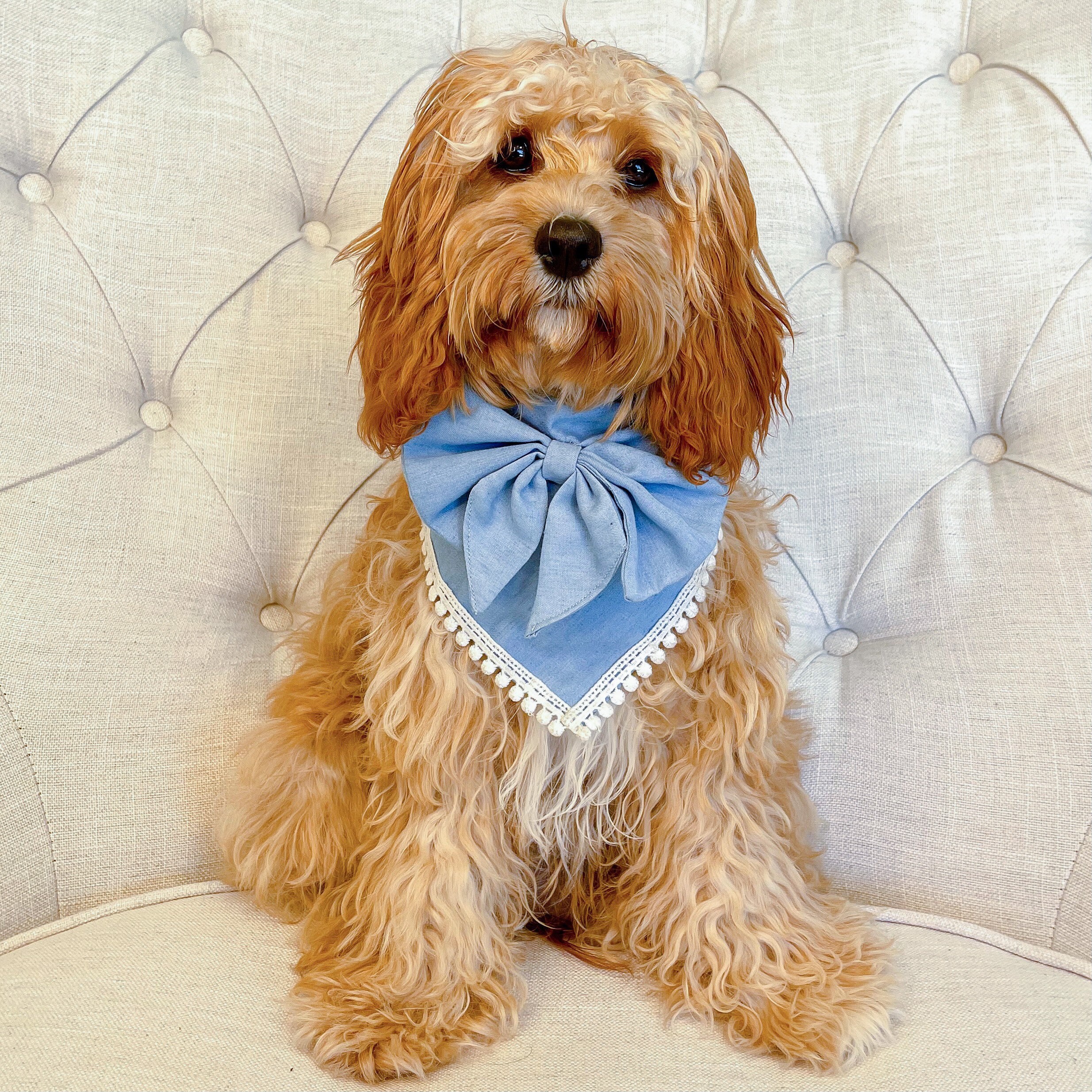 Dog Bandana Luxury blue with sailor bow and pom trim over Etsy
