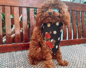 cockapoo bandana