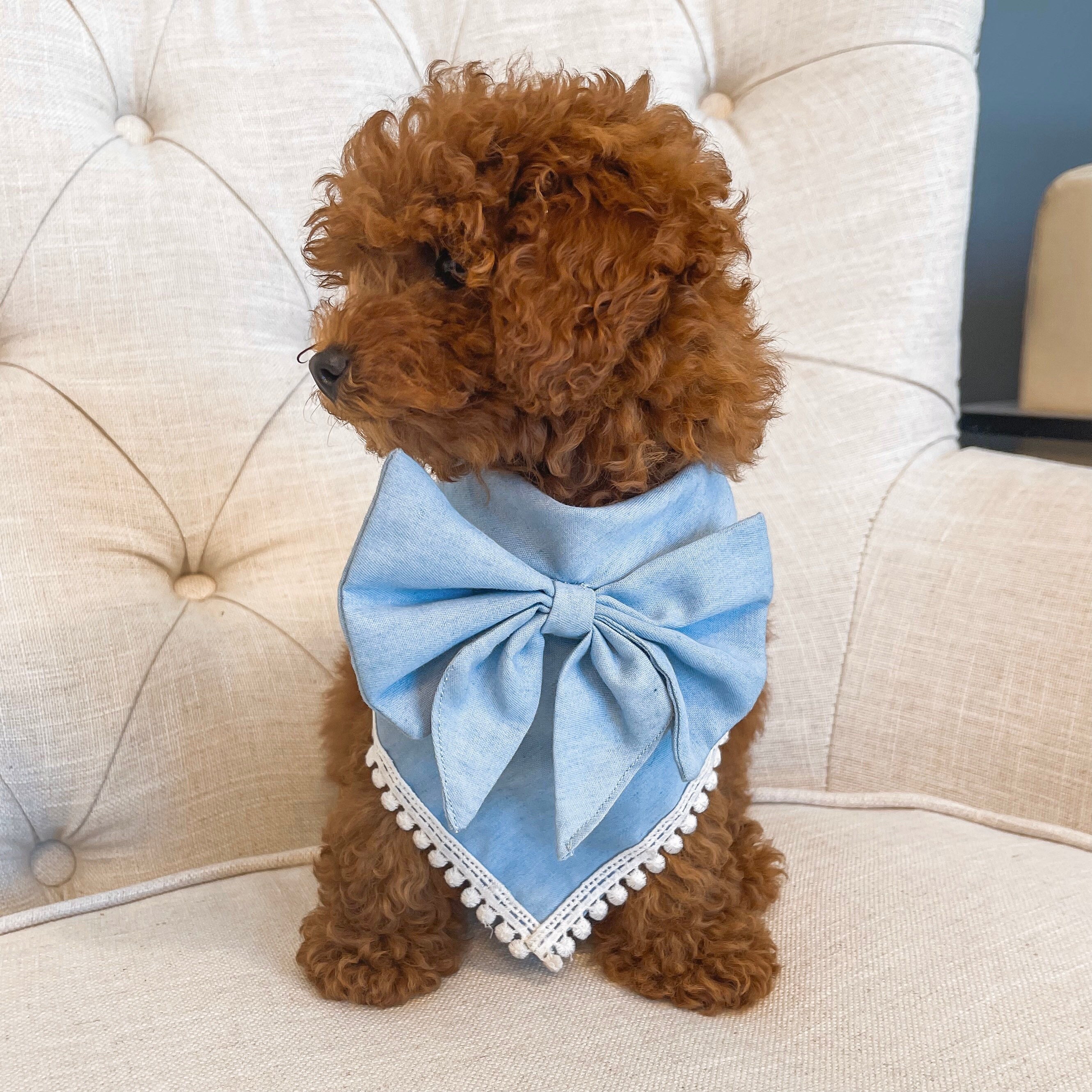 Dog Bandana Luxury blue with sailor bow and pom trim over Etsy