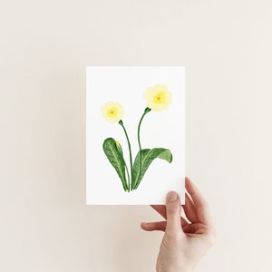 Primevère, fleur jaune, par Claire Cain, carte de tous les jours, aquarelle, carte de remerciement, félicitations, fleur sauvage écossaise, personnalisée