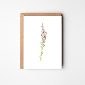 Heather, par Claire Cain, carte illustrée, fleur écossaise, carte de remerciement, décoration murale, fleur sauvage écossaise, carte fleur personnalisée.
