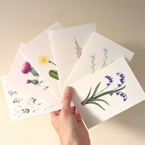 Lot de 3 cartes pour 9, Claire Cain, cartes illustrées, feuilles et fleurs, carte de remerciement, aquarelle, cartes vierges.