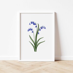 Bluebells art print, Scottish Wildflowers by Claire Cain, Botanical wall art, Nature Prints, Flowers, Paper Goods, Housewarming Gift