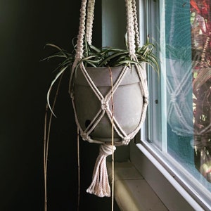 May include: A gray ceramic plant pot with a spider plant, suspended in a cream-colored macrame plant hanger. The plant hanger is knotted and has a tassel at the bottom. The plant is near a window.