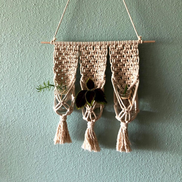 Macramé propagation station, bud vase, cotton, vegan, knots, garden decor, gardener gift, present, apothecary propagate, plant, sprout