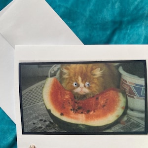 Carte de voeux vierge Googley Eyes Cat - Collage pastèque