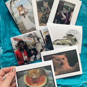 7 cartes de voeux vierges avec collage de chats - cadeau bâillonnement, blague sur les chats, idiote, vintage