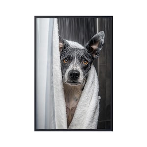 Cane Heeler blu nella vasca da bagno, Decorazione del bagno per cani da doccia, Cane nella vasca da bagno, Regali per poster da parete per il bagno con cani Heeler blu, Regali per gli amanti dei cani Heeler