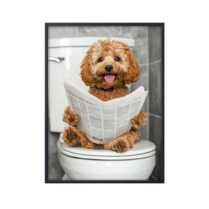 Cockapoo Sitting on Toilet Reading Newspaper, Funny Dog on Loo, Cockapoo Bathroom Wall Art, Funny Dog on Toilet Wall Art Canvas Poster Gifts