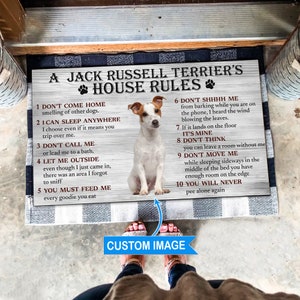 Non-negotiable Dog Room Decor Essentials - Hey, Djangles.