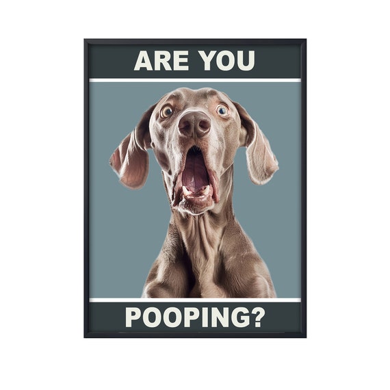 Weimaraner Are You Pooping, Funny Dog Poster, Funny Weimaraner Wall Art, Funny Dog Toilet Wall Art Canvas Poster Gift, Bathroom Toilet Decor