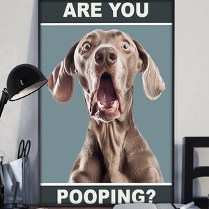 May include: A poster with a light blue background featuring a surprised-looking dog with the text "ARE YOU POOPING?" in white letters.